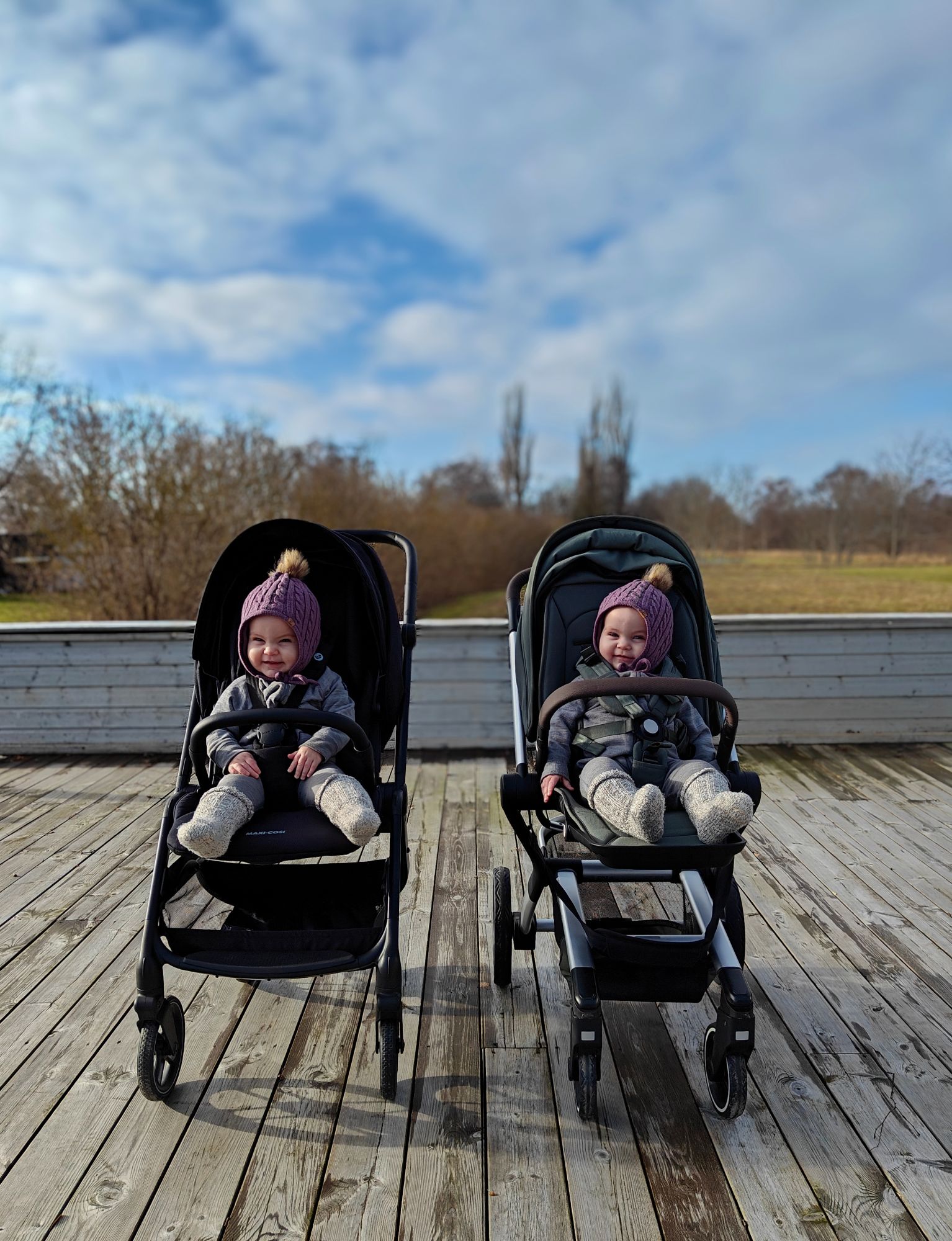 Joolz Hub+ vs. Maxi Cosi Leona 2